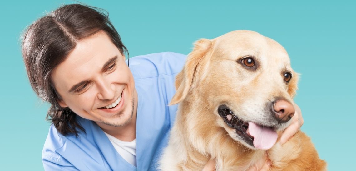 blog de marketing veterinario