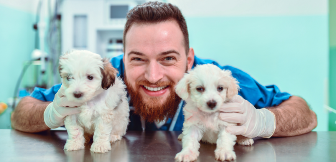 blog de marketing veterinario