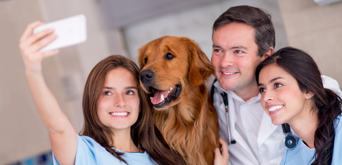 blog de marketing veterinario