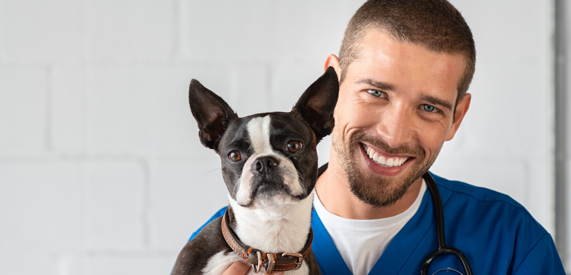 blog de marketing veterinario