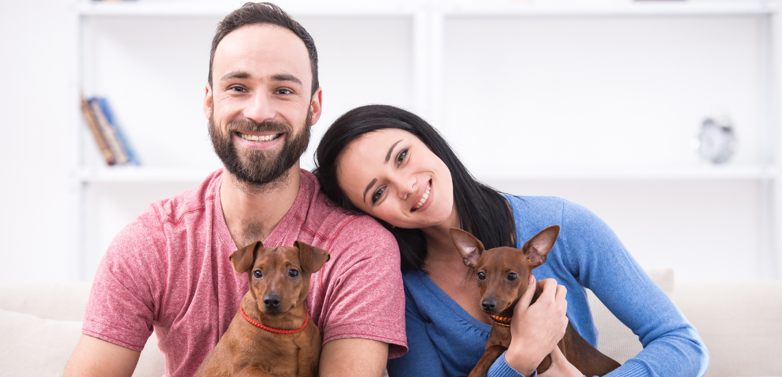 blog de marketing veterinario