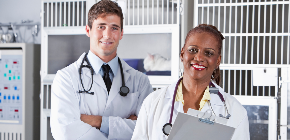 blog de marketing veterinario