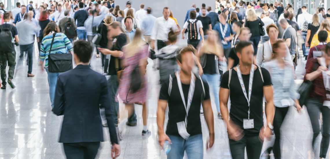 blog de marketing veterinario