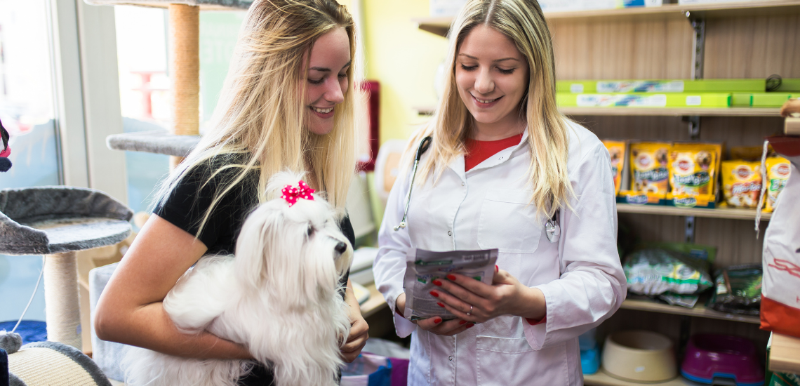 blog de marketing veterinario