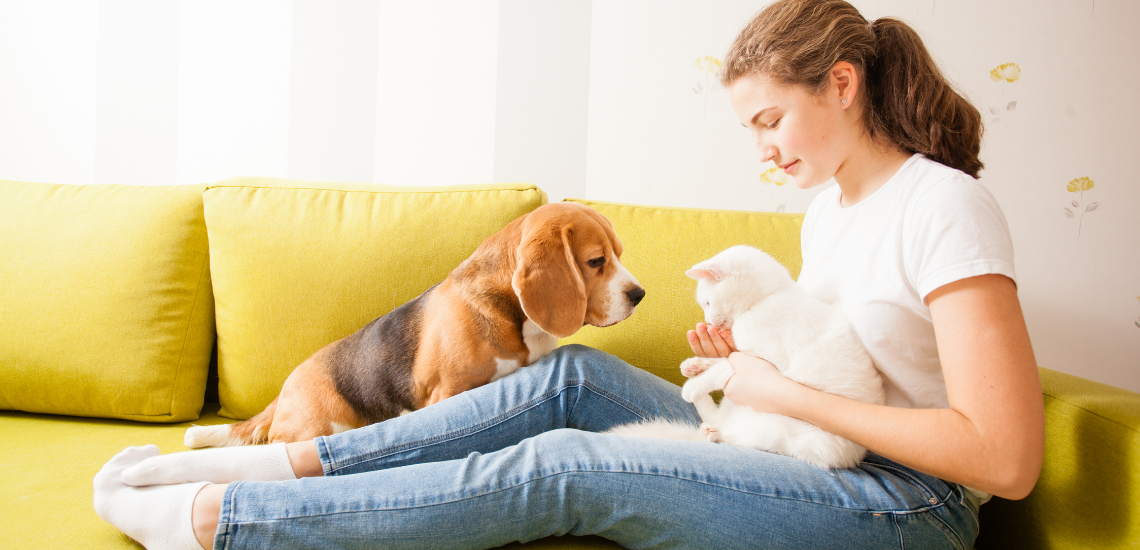 blog de marketing veterinario