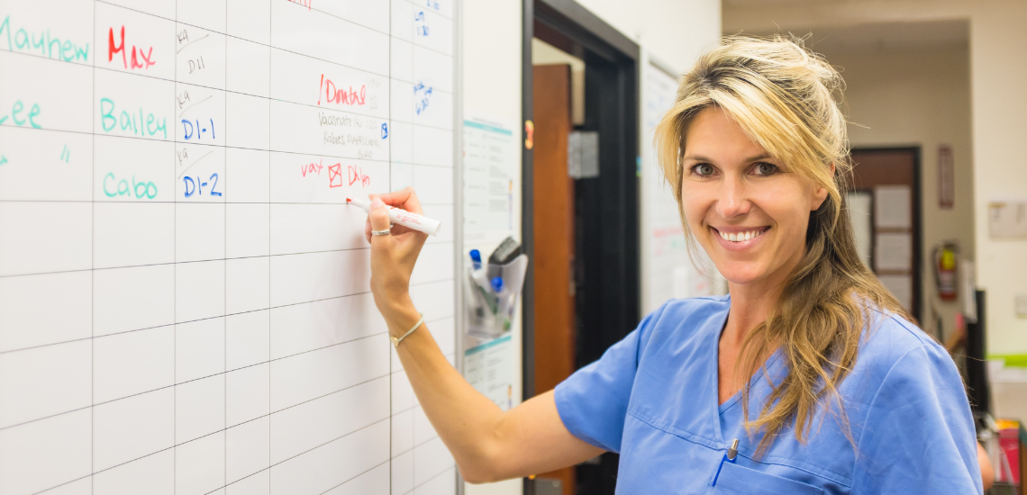 blog de marketing veterinario