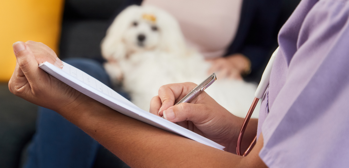 blog de marketing veterinario