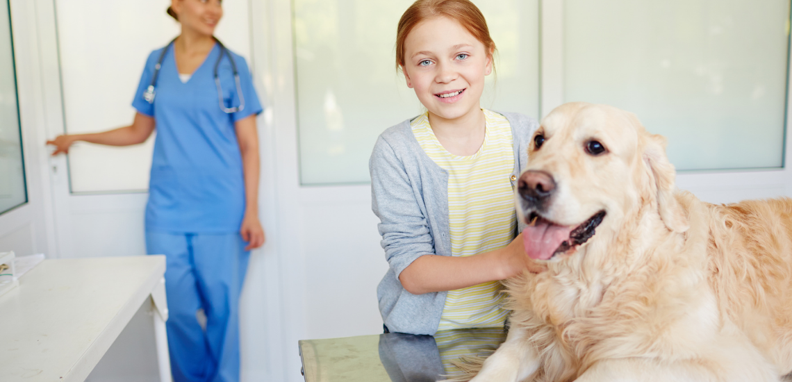 blog de marketing veterinario