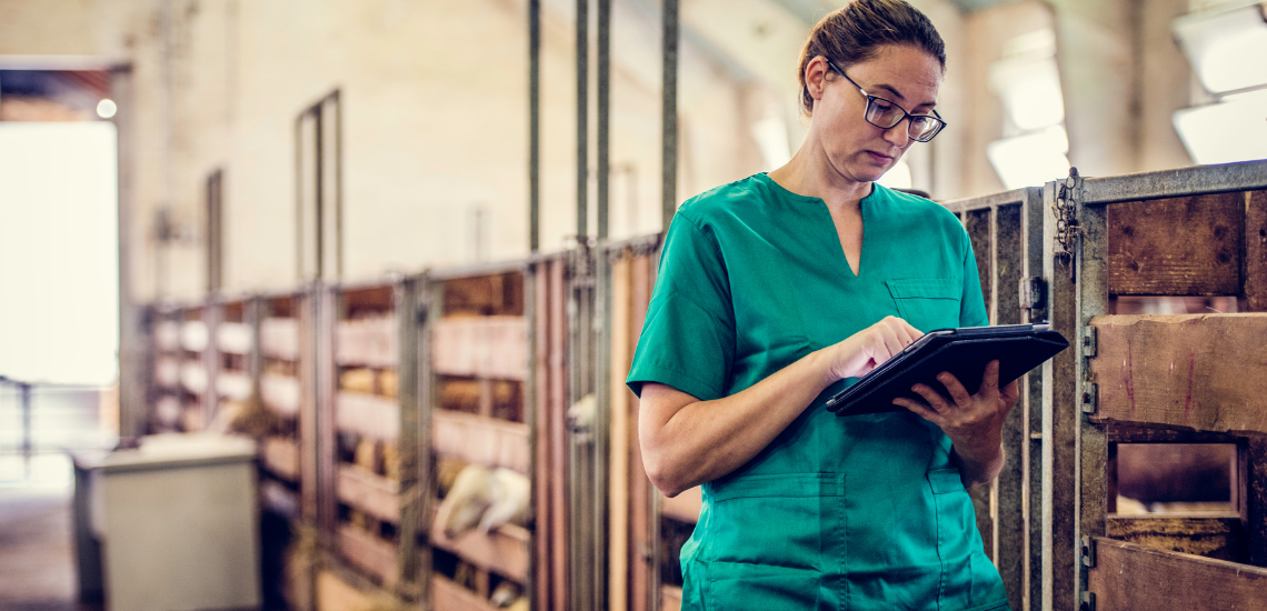 blog de marketing veterinario