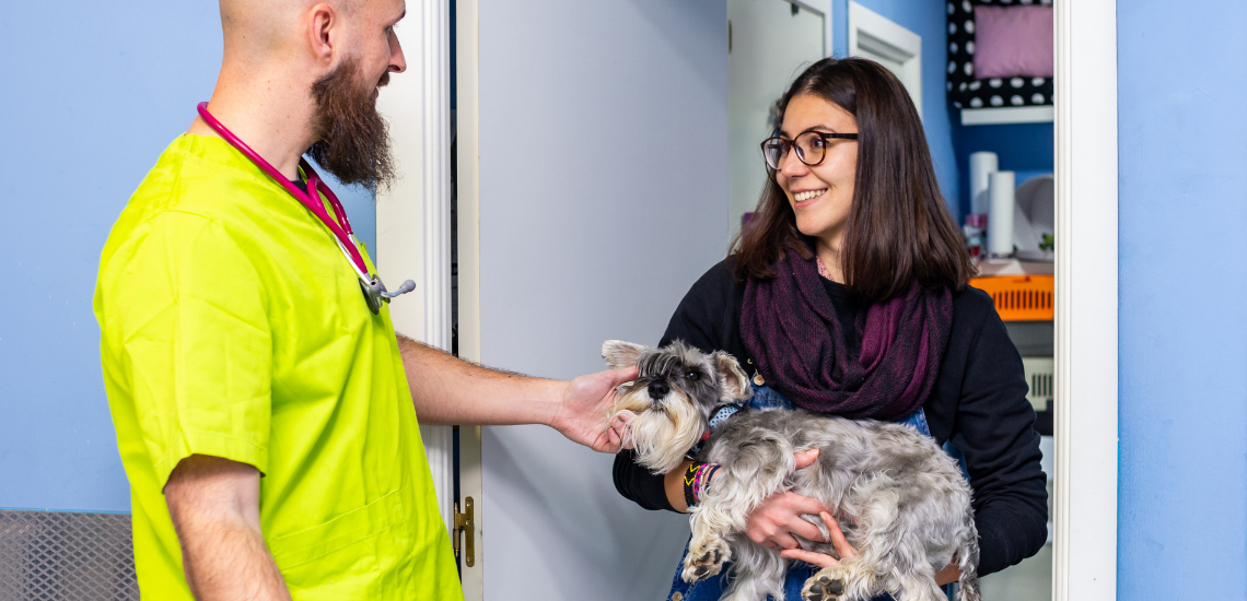 blog de marketing veterinario