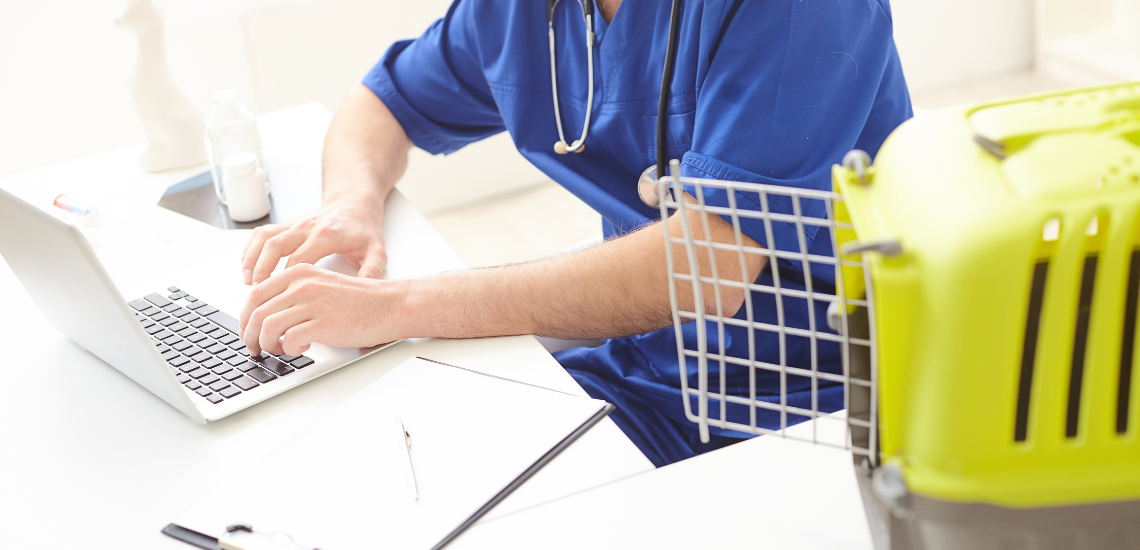 blog de marketing veterinario