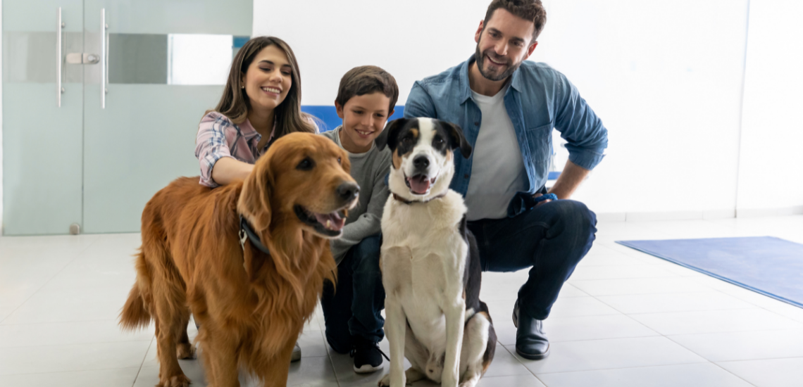 blog de marketing veterinario