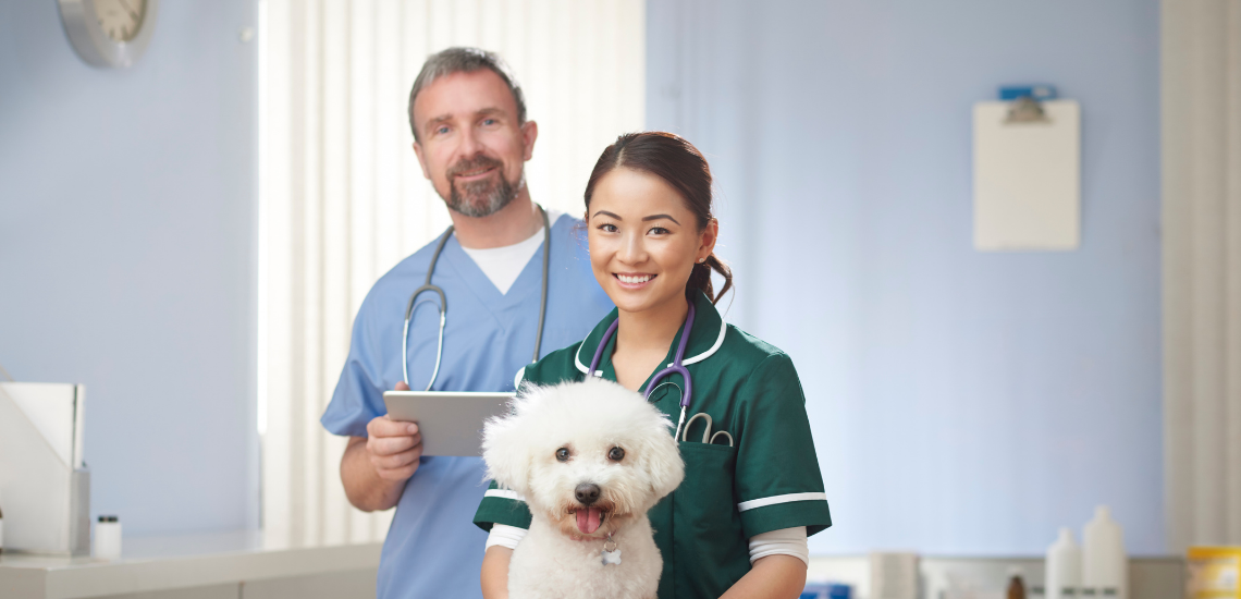 blog de marketing veterinario