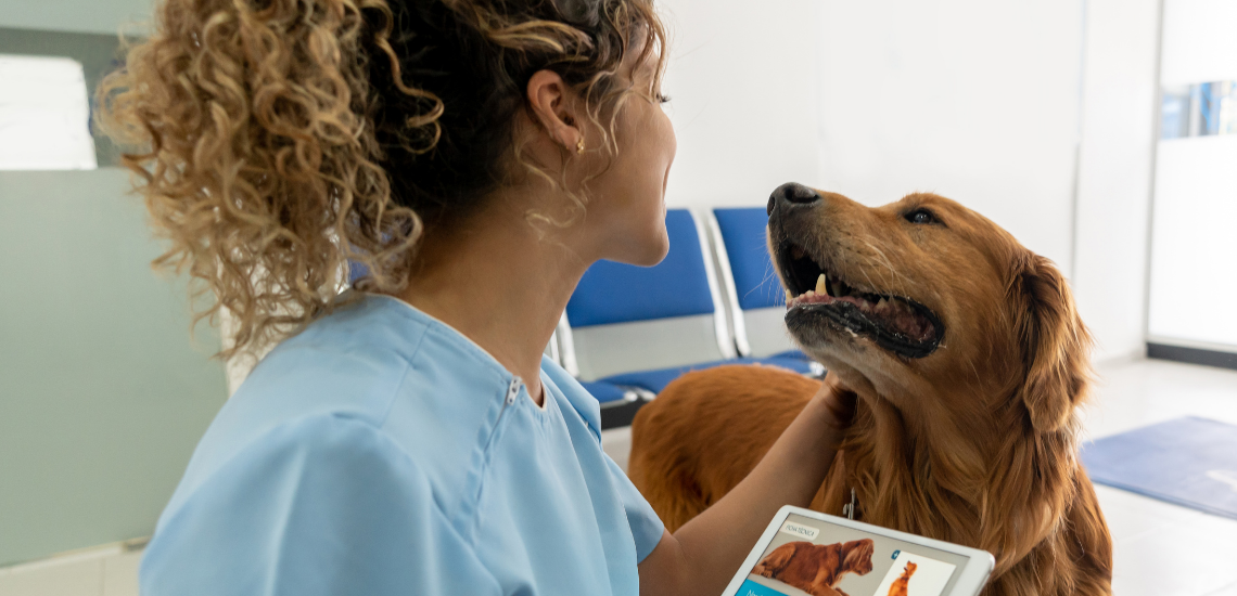 blog de marketing veterinario